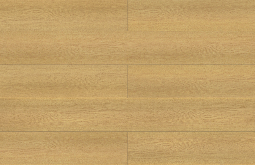 CKZ2101-黃白游2.jpg CKZ2101-黃白游2.jpg
